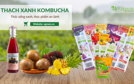 THẠCH XANH KOMBUCHA HASU - THẠCH TỪ KOMBUCHA ĐẦU TIÊN TRÊN THẾ GIỚI